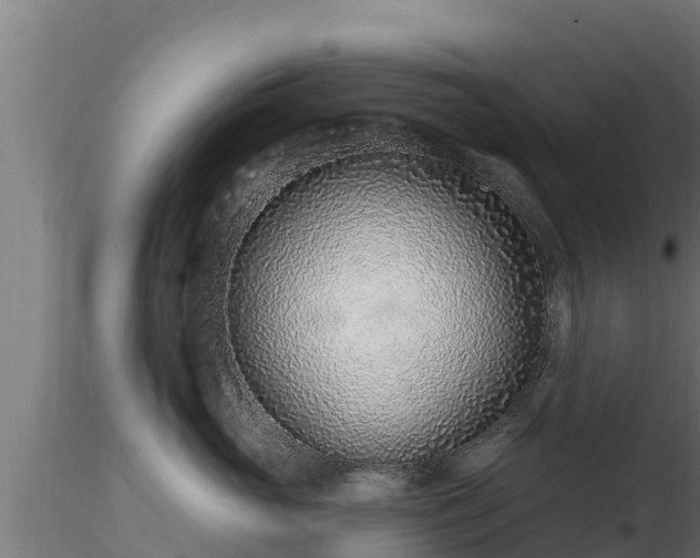 X0000116890765200912291303