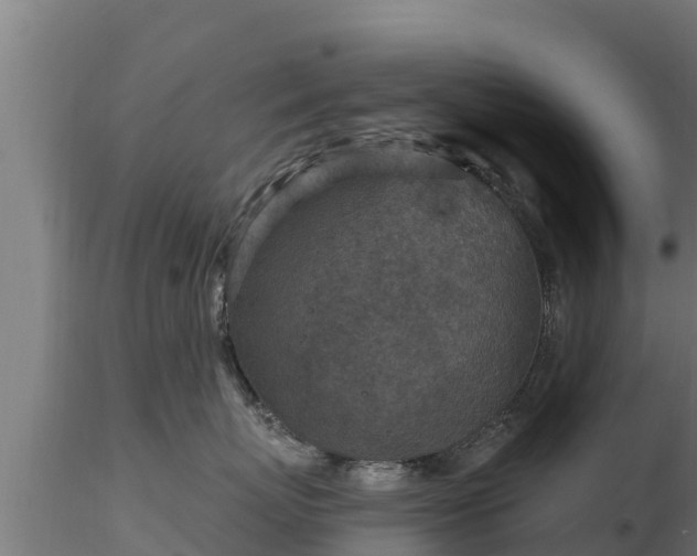 X0000116890767200912291303