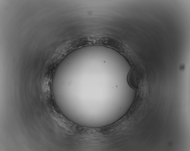X0000116890770200912291302