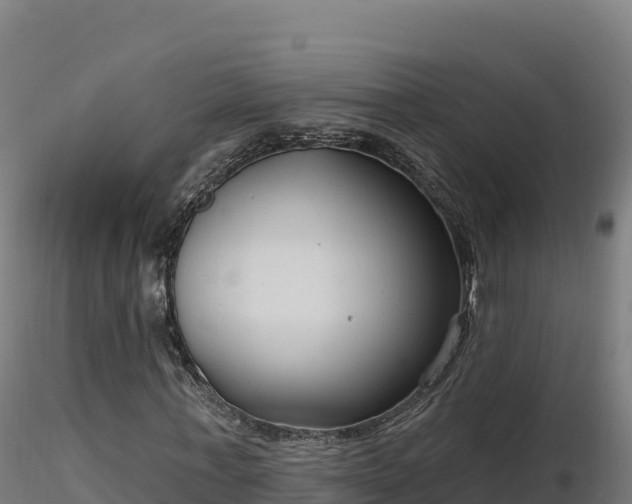 X0000116890771200912291302