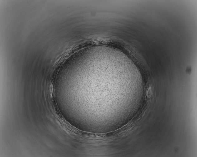 X0000116890772200912291302