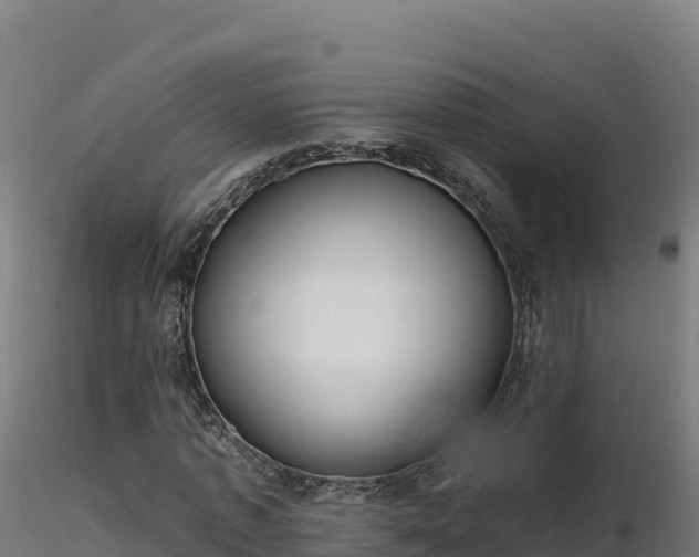 X0000116890773200912291302