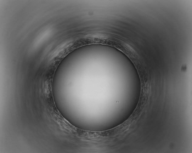 X0000116890774200912291302
