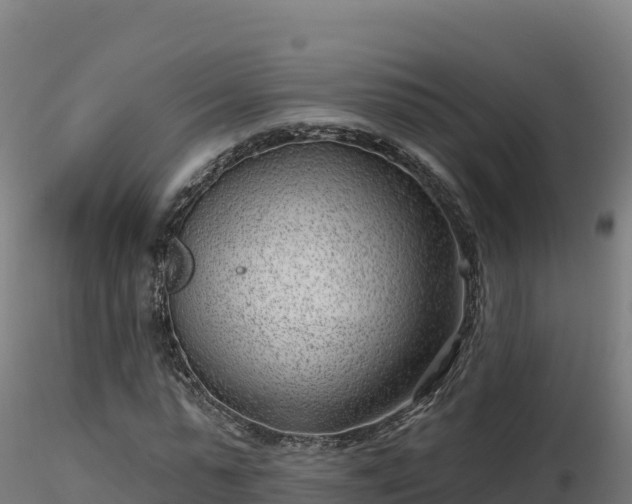 X0000116890775200912291302