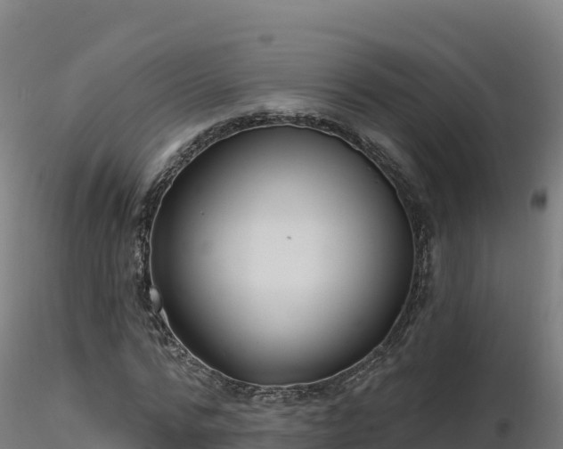 X0000116890776200912291302