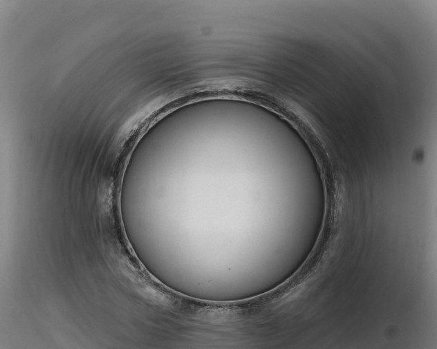 X0000116890778200912291302