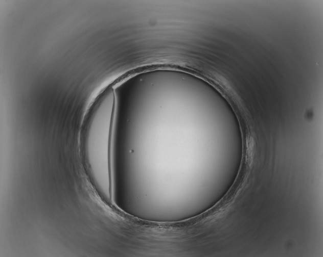 X0000116890780200912291302