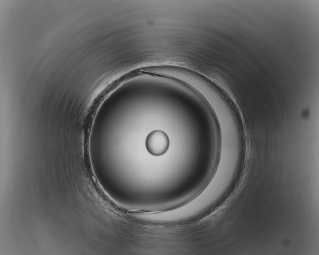 X0000116890781200912291302