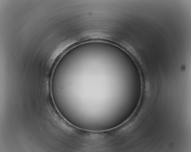 X0000116890782200912291302