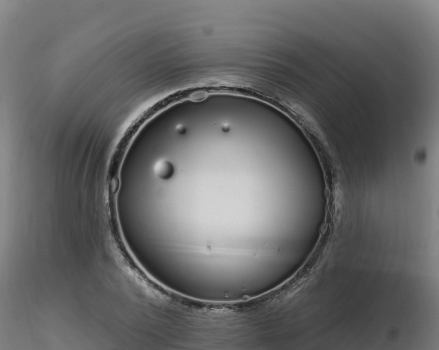 X0000116890784200912291302
