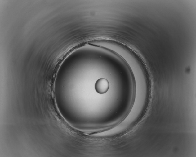 X0000116890785200912291302