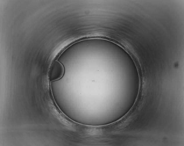 X0000116890789200912291302