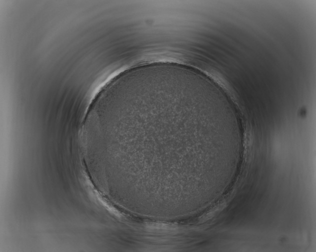 X0000116890790200912291302