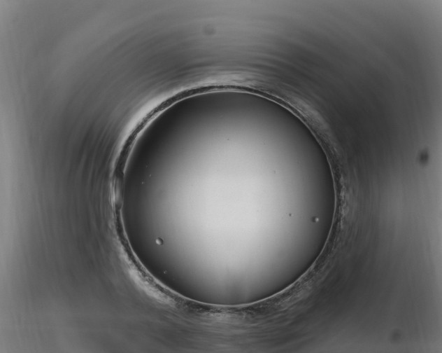 X0000116890792200912291302