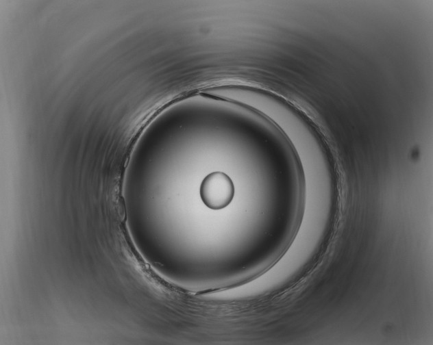X0000116890793200912291302
