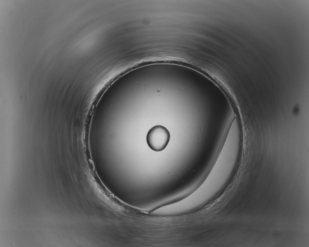 X0000116890797200912291302