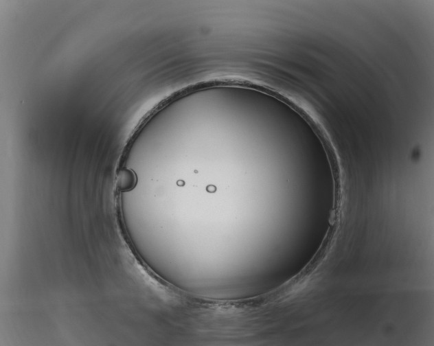 X0000116890799200912291302