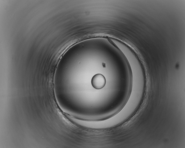 X0000116890801200912291302