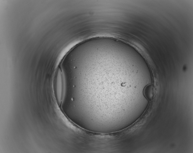 X0000116890804200912291302