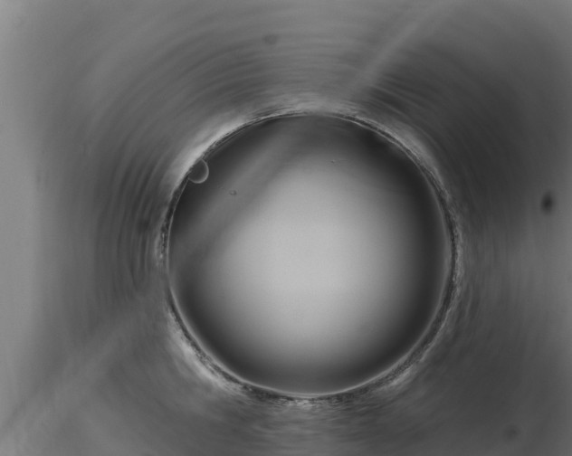X0000116890806200912291302