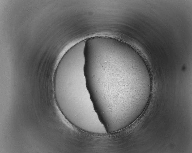 X0000116890808200912291302