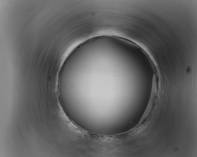 X0000116890815200912291302