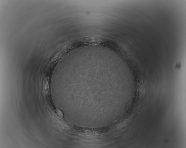 X0000116890818200912291301