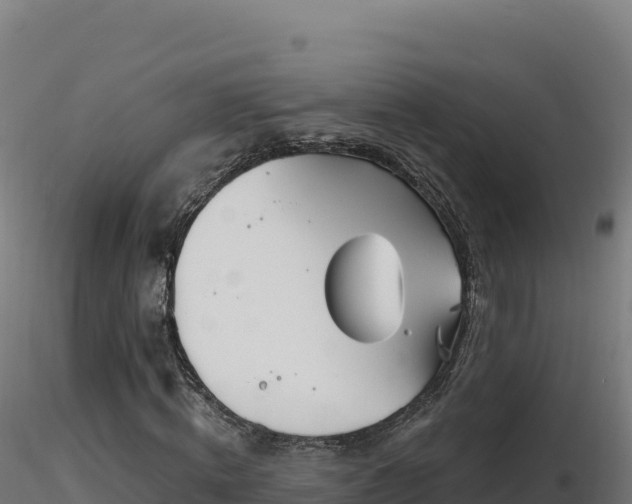 X0000116890820200912291301
