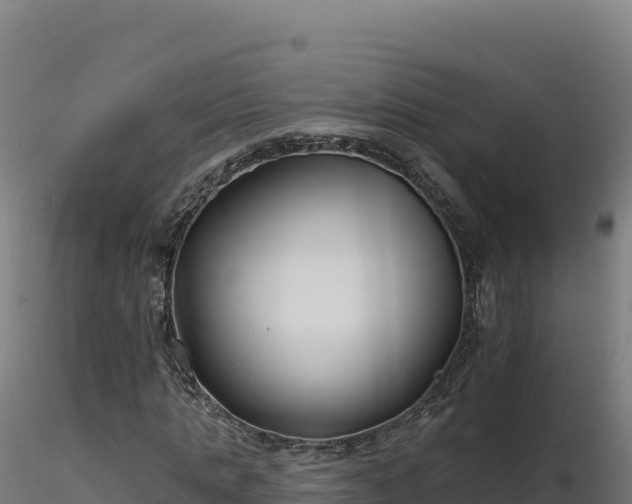 X0000116890821200912291301