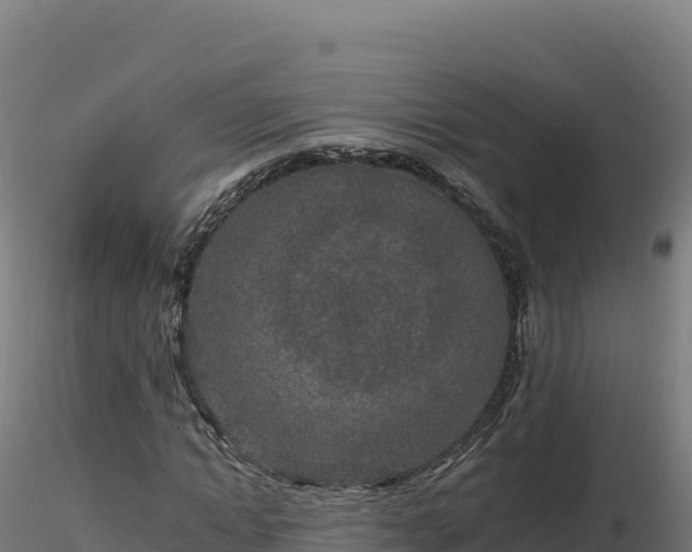 X0000116890822200912291301