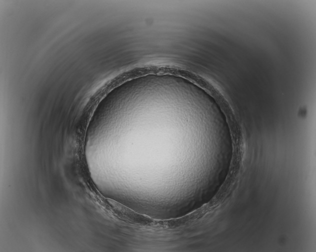 X0000116890823200912291301