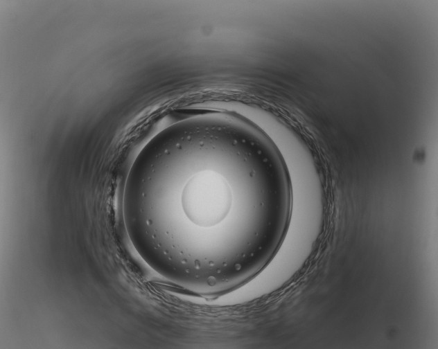X0000116890824200912291301
