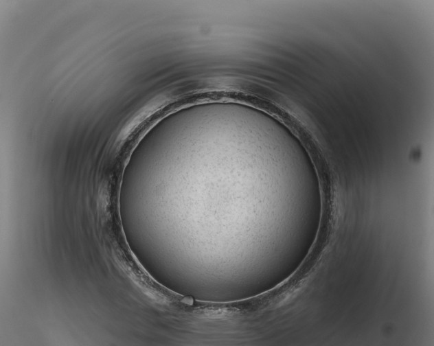 X0000116890826200912291301
