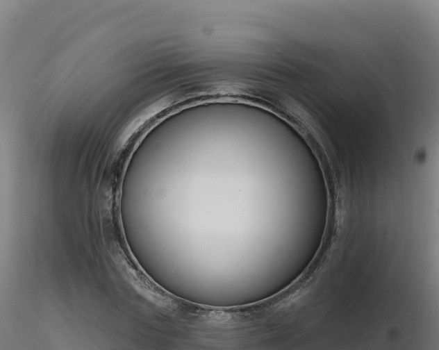 X0000116890827200912291301