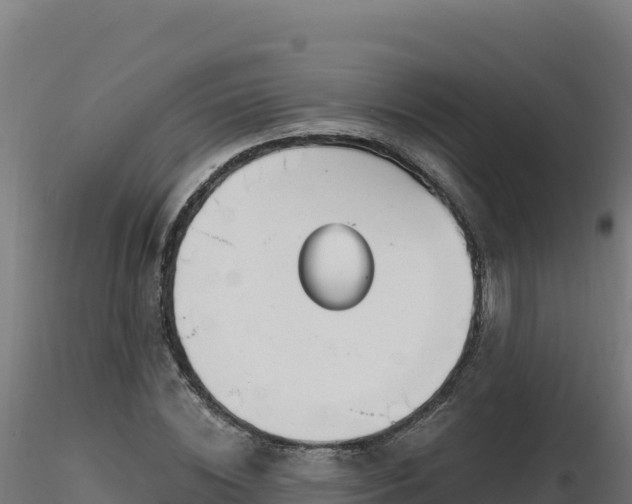 X0000116890828200912291301