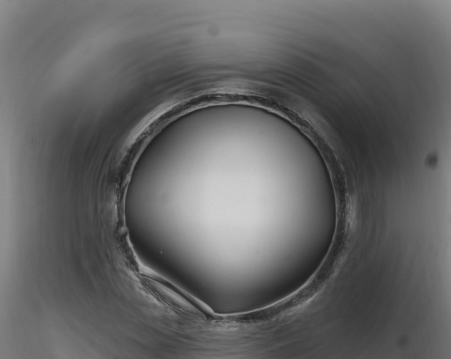 X0000116890829200912291301