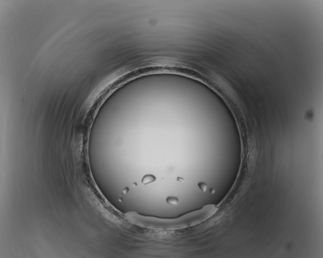 X0000116890831200912291301