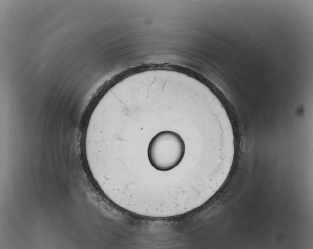 X0000116890832200912291301