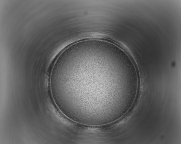 X0000116890835200912291301