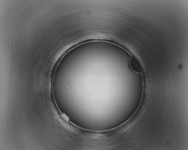 X0000116890837200912291301