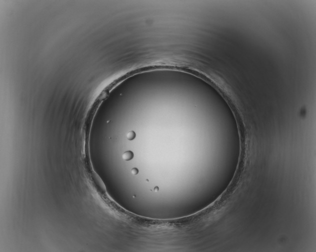 X0000116890838200912291301