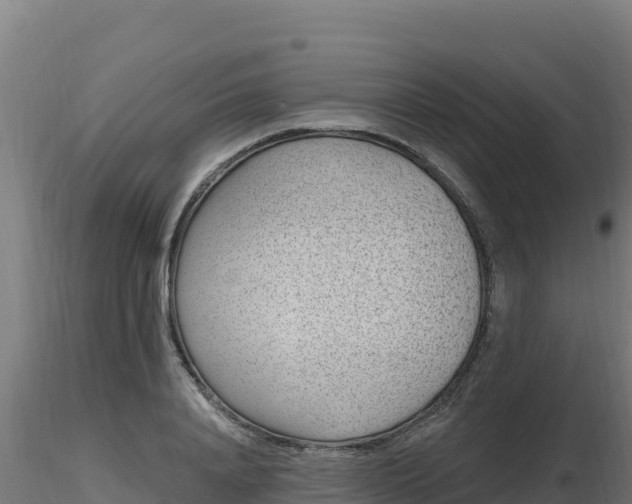 X0000116890840200912291301