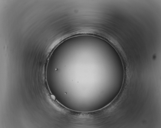 X0000116890842200912291301