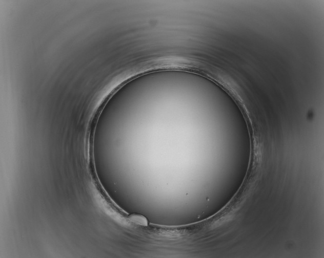 X0000116890843200912291301