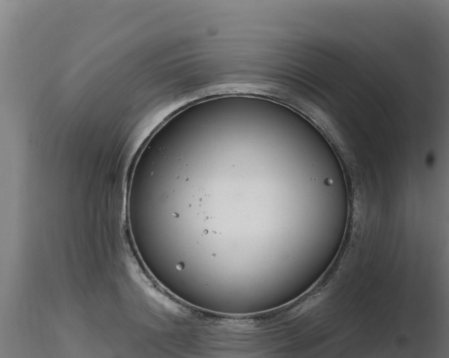 X0000116890844200912291301