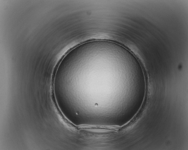 X0000116890845200912291301