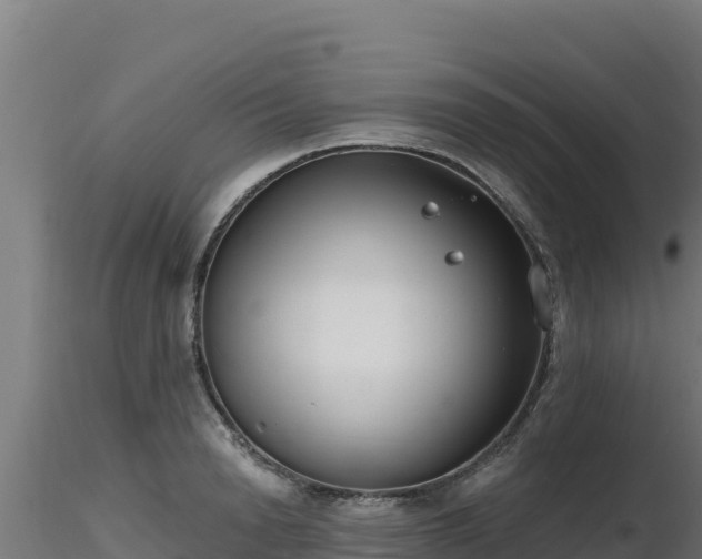 X0000116890846200912291301
