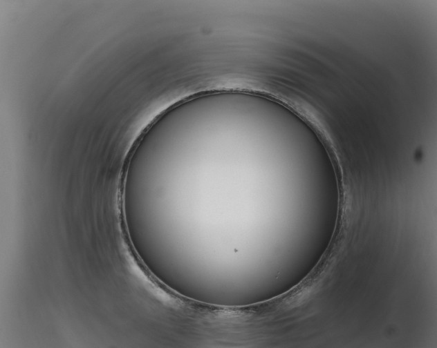 X0000116890847200912291301