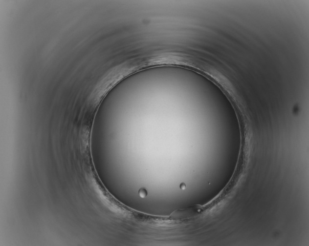 X0000116890849200912291301