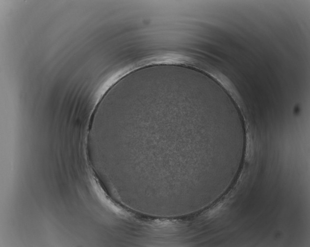 X0000116890850200912291301